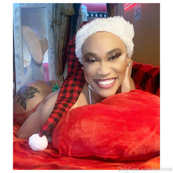 darirose