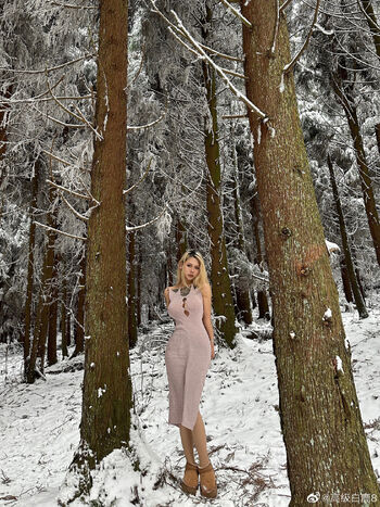 deer_white_