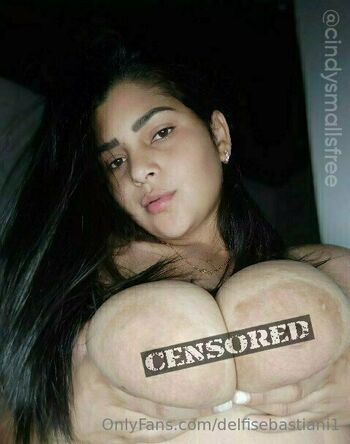 delfisebastiani1