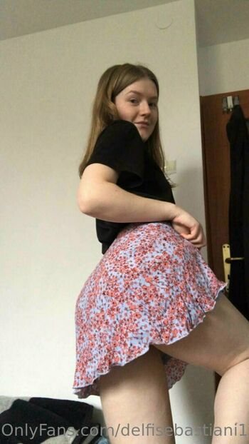 delfisebastiani1