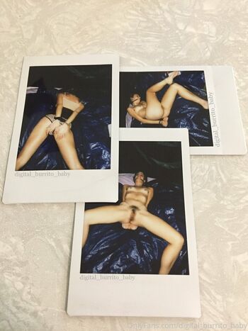 digital_burrito_baby