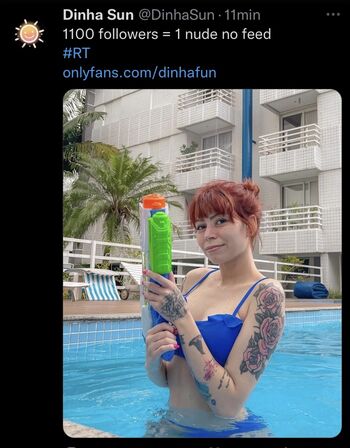 dinhafun