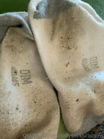 dirtysockscousins