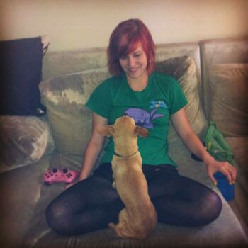 Dodger