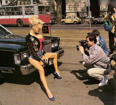 Dolly Buster