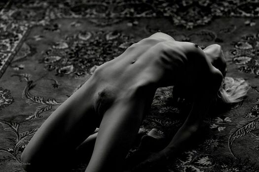 Dottirmodel