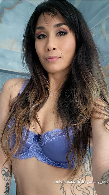 dragonlily_net