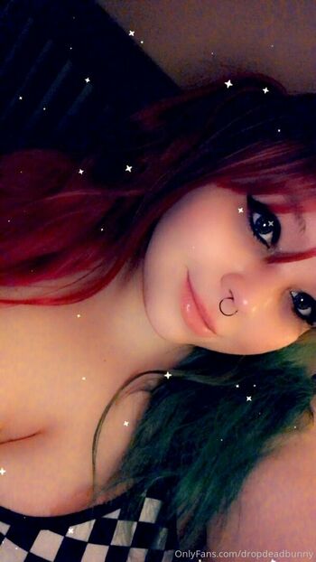 dropdeadbunny