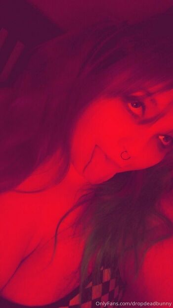 dropdeadbunny