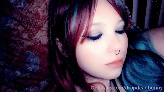dropdeadbunny