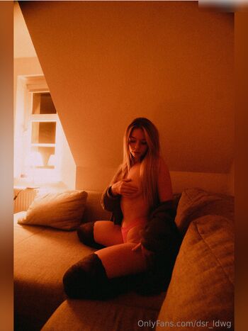 dsr_ldwg