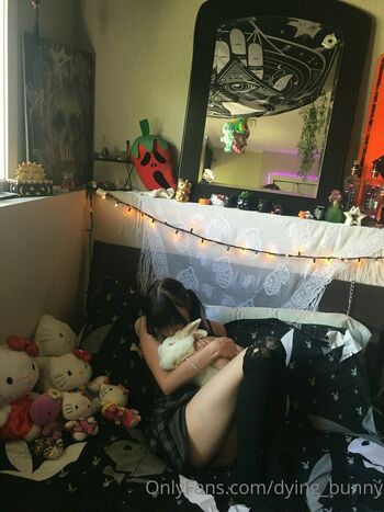 Dying_bunny