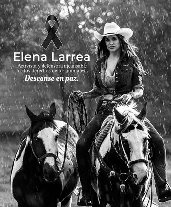 Elenaypunto