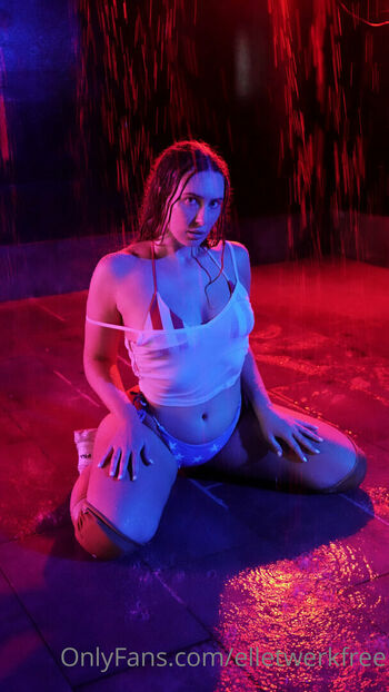 elletwerkvault