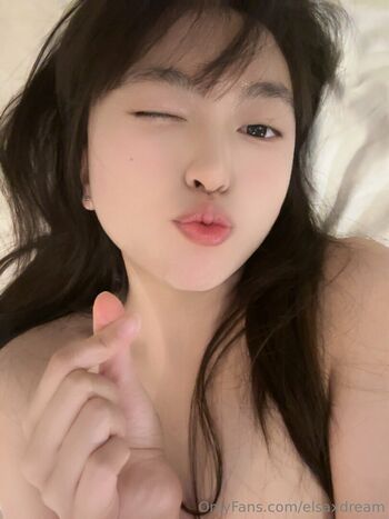 elsaxdream
