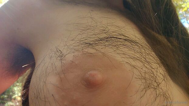 eroicaforest
