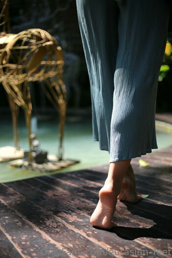 eurasian_feet