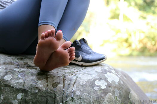 eurasian_feet