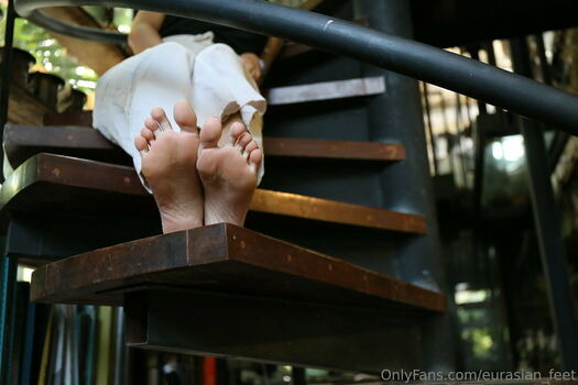 eurasian_feet