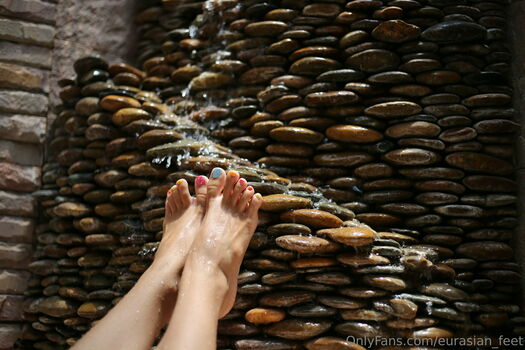 eurasian_feet