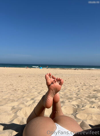 Evifeet
