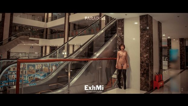 ExhMi