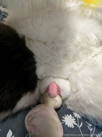 extrasoftpup