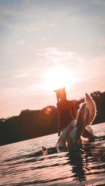 Farbenfuchs