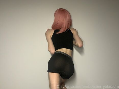 femboycherryblossom