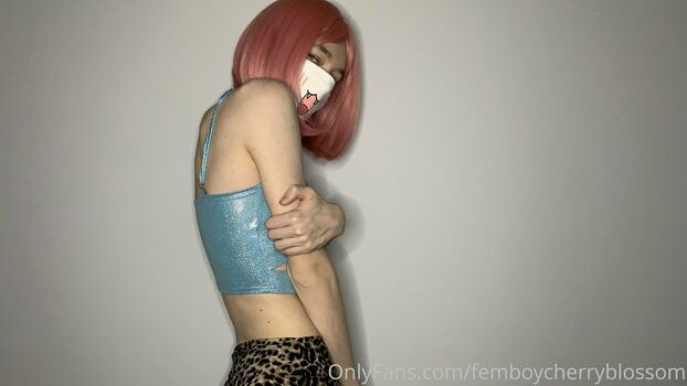 femboycherryblossom