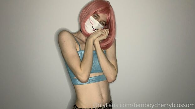 femboycherryblossom