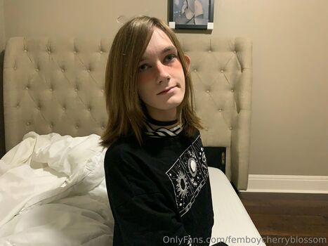 femboycherryblossom