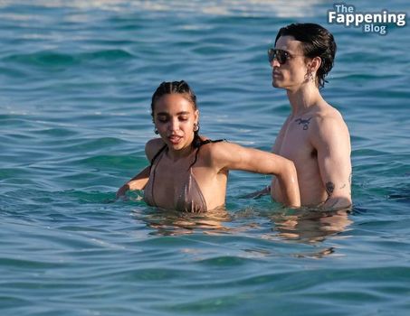 FKA Twigs