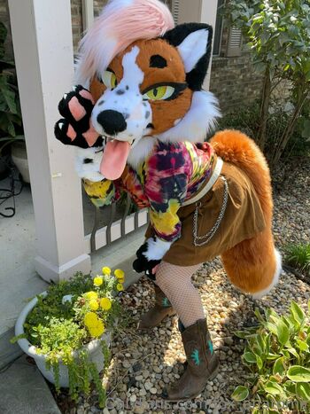 fox_anatomy
