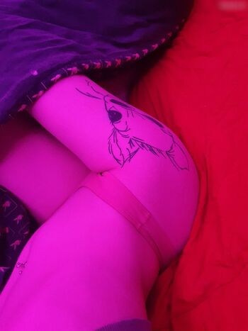 Foxy.98