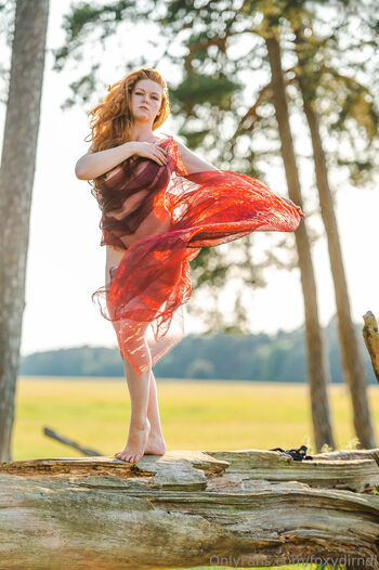 Foxydirndl