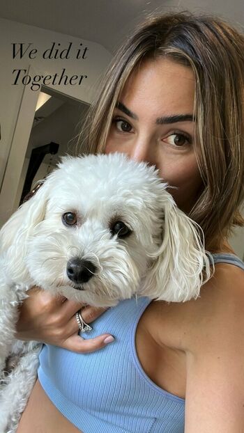 Frankie Bridge