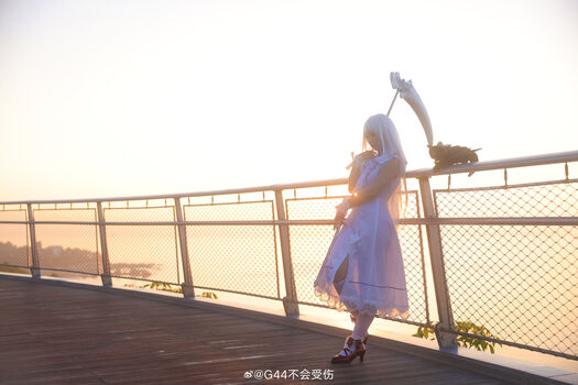 g44gallery