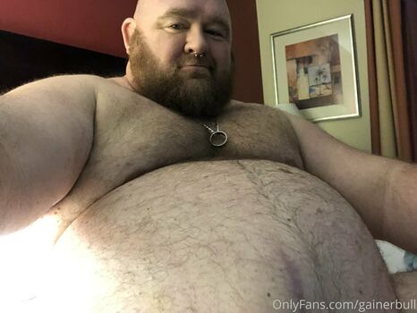 gainerbull
