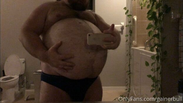 gainerbull