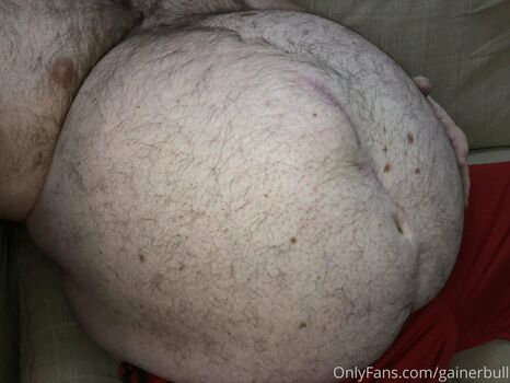 gainerbull