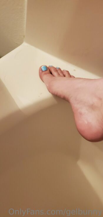 gelbunny