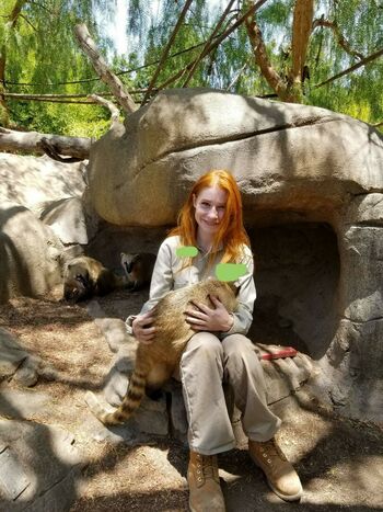 ginger_spinner