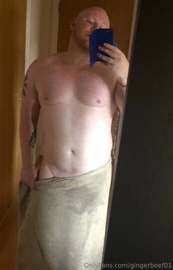 gingerbeef01