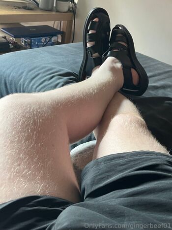 gingerbeef01