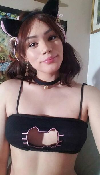 Gingersnapuu