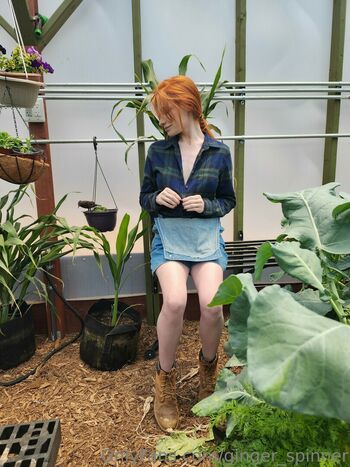 GingerXSpinner
