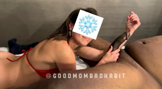 Good Mom Bad Habit