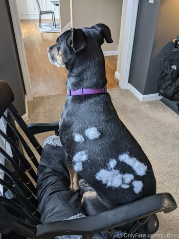 gutfuzz