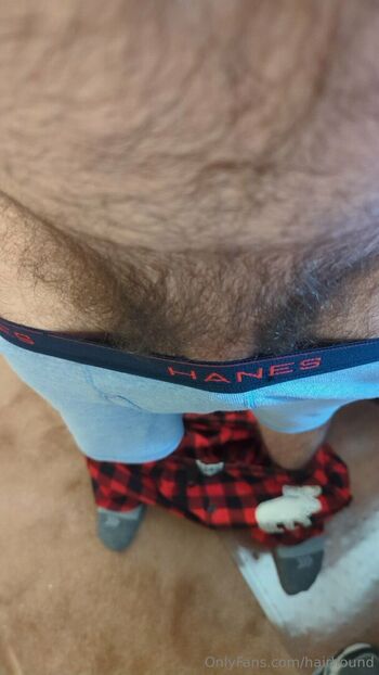 hairhound